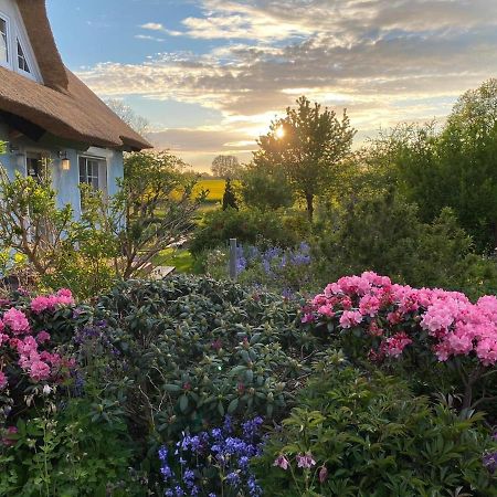 Reethaus Vilmnitz - Ferienwohnung Goor Esterno foto