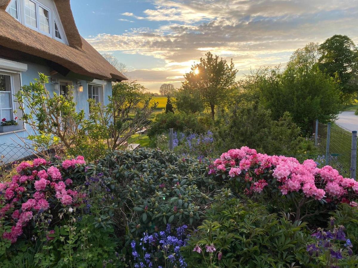 Reethaus Vilmnitz - Ferienwohnung Goor Esterno foto