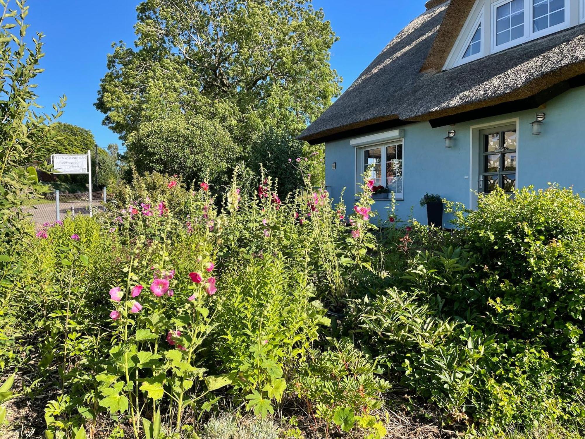 Reethaus Vilmnitz - Ferienwohnung Goor Esterno foto