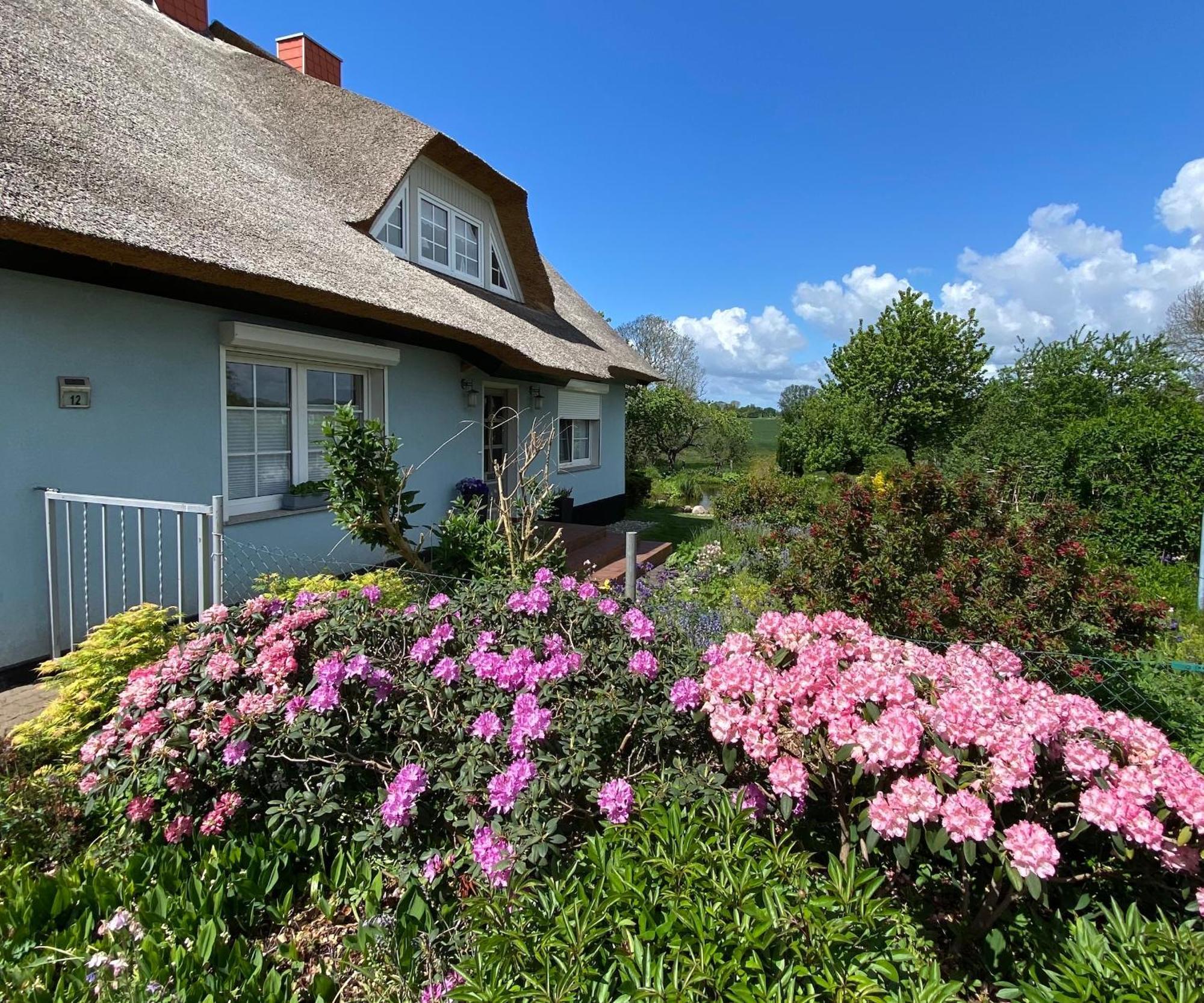 Reethaus Vilmnitz - Ferienwohnung Goor Esterno foto